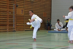 IMG_6801_bearbeitet-1