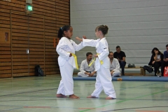 IMG_6811_bearbeitet-1