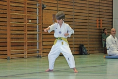 IMG_6837_bearbeitet-1