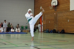 IMG_6851_bearbeitet-1