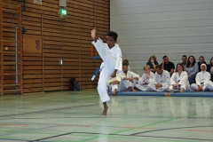 IMG_6902_bearbeitet-1