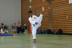 IMG_6905_bearbeitet-1