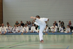 IMG_6907_bearbeitet-1