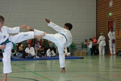 IMG_6927_bearbeitet-1