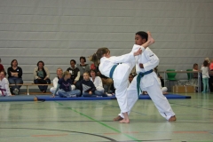 IMG_6928_bearbeitet-1