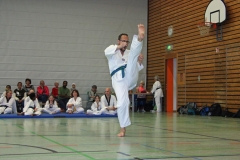 IMG_6959_bearbeitet-1