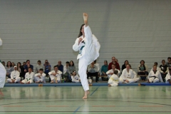 IMG_6962_bearbeitet-1