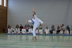IMG_7005_bearbeitet-1