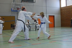 IMG_7050_bearbeitet-1