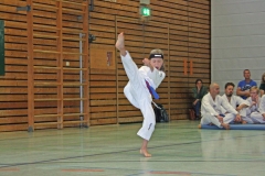 IMG_7070_bearbeitet-1