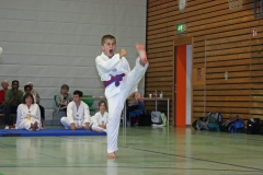 IMG_7073_bearbeitet-1