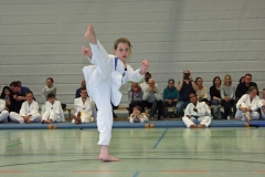IMG_7083_bearbeitet-1