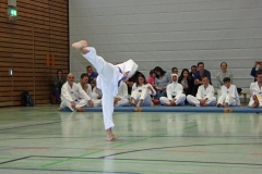 IMG_7085_bearbeitet-1