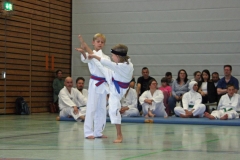 IMG_7101_bearbeitet-1