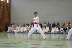 IMG_7203_bearbeitet-1
