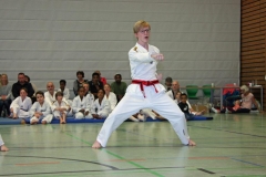 IMG_7207_bearbeitet-1