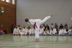 IMG_7210_bearbeitet-1