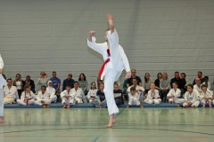 IMG_7215_bearbeitet-1
