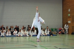 IMG_7216_bearbeitet-1