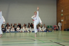 IMG_7217_bearbeitet-1