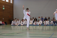 IMG_7219_bearbeitet-1
