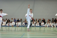IMG_7220_bearbeitet-1