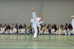 IMG_7223_bearbeitet-1