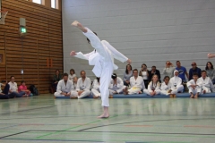 IMG_7224_bearbeitet-1