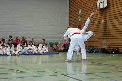 IMG_7282_bearbeitet-1