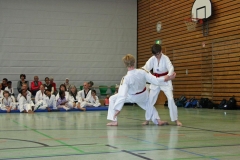 IMG_7286_bearbeitet-1