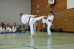 IMG_7303_bearbeitet-1