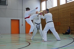 IMG_7321_bearbeitet-1