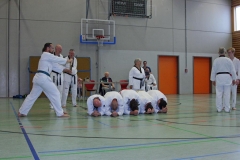 IMG_7328_bearbeitet-1