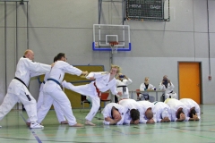 IMG_7330_bearbeitet-2