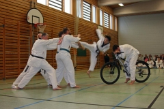 IMG_7332_bearbeitet-1