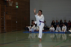 IMG_0010_bearbeitet-1