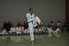 IMG_0014_bearbeitet-1