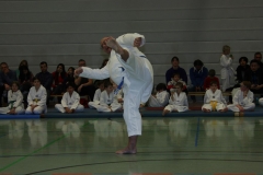 IMG_0017_bearbeitet-1