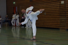 IMG_0021_bearbeitet-1