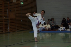 IMG_0024_bearbeitet-1