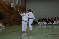 IMG_0036_bearbeitet-1