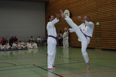 IMG_0042_bearbeitet-1