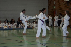 IMG_0108_bearbeitet-1