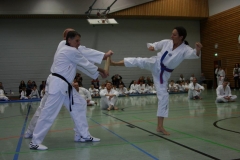 IMG_0121_bearbeitet-1