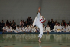 IMG_0137_bearbeitet-1