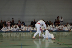 IMG_0173_bearbeitet-1