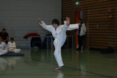 IMG_9521_bearbeitet-1