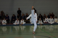 IMG_9522_bearbeitet-1