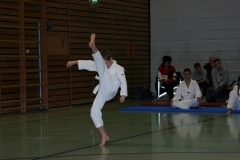 IMG_9524_bearbeitet-1