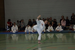 IMG_9526_bearbeitet-1